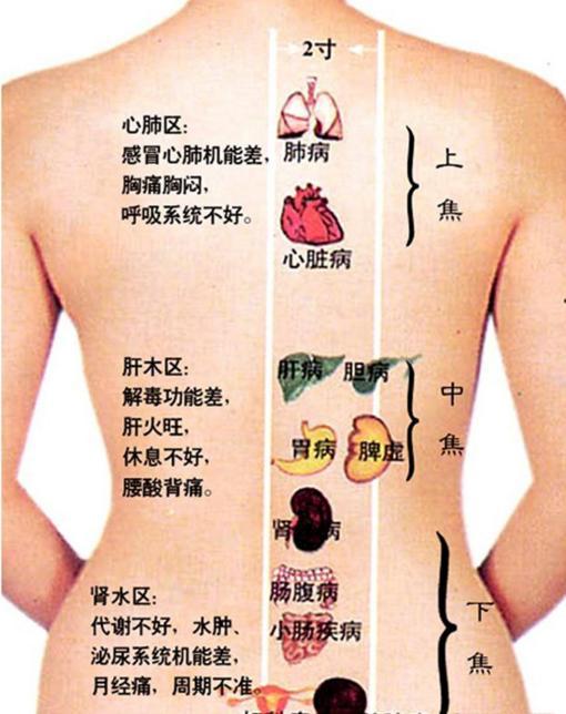 刮痧 在线观看,在线观看刮痧养生技巧解析