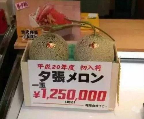 有哪些娱乐吃瓜的大号,盘点热门吃瓜大号，带你畅游娱乐八卦世界